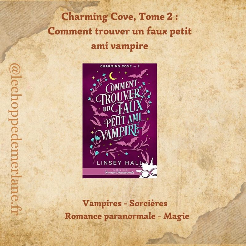 Comment trouver un faux petit ami vampire: Charming cove, T2 – Image 2