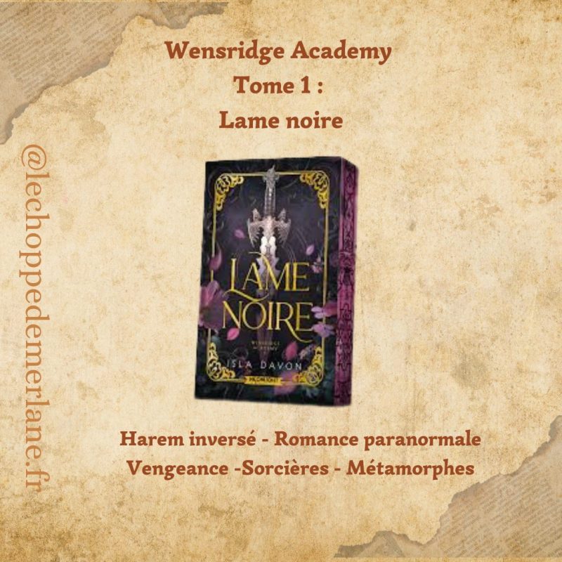 Lame noire: Wensridge Academy 1 – Image 2