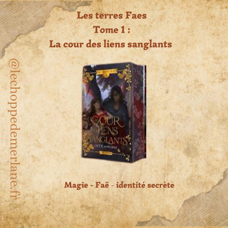 Les terres Faes Tome 1 : la cour des liens sanglants – Image 2