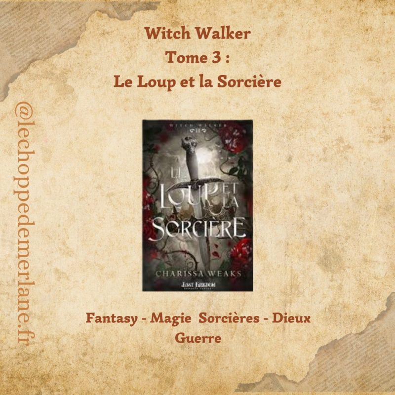 Le loup et la sorcière: The Witch Collector 3 (Edition Relié) – Image 2