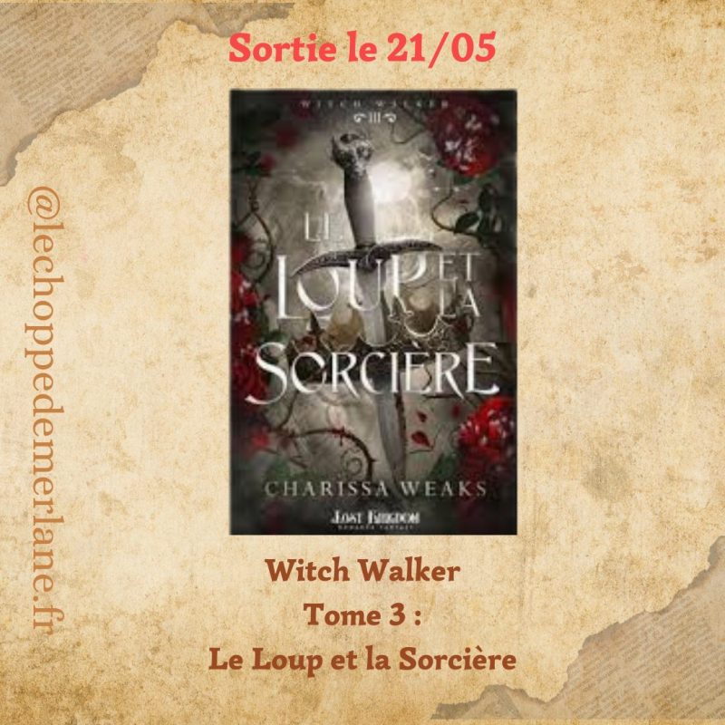 Le loup et la sorcière: The Witch Collector 3 (Edition Relié)