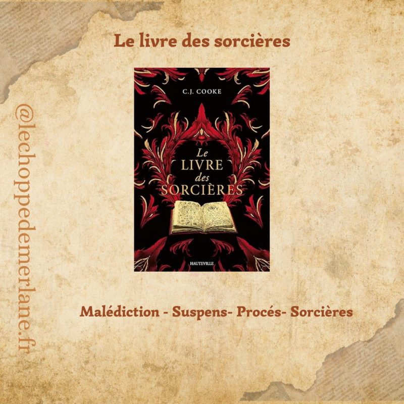Le Livre des sorcières – Image 2